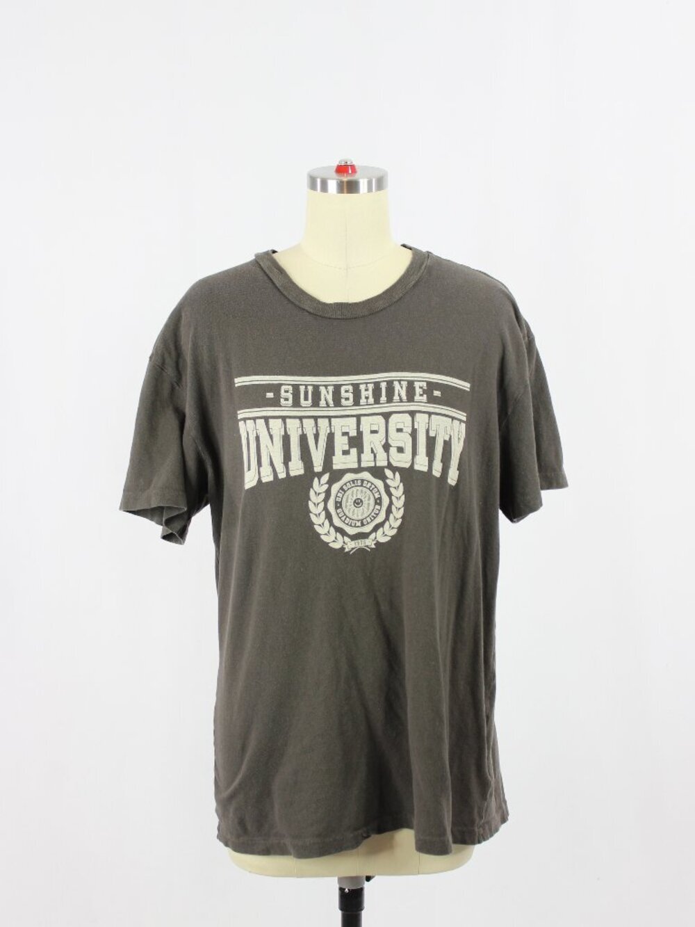 Aritzia DENIM FORUM The Old Favourite Tee Cotton Vintage Graphic T-Shirt, Size M
